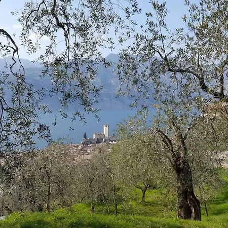 Angolo Lake Studio